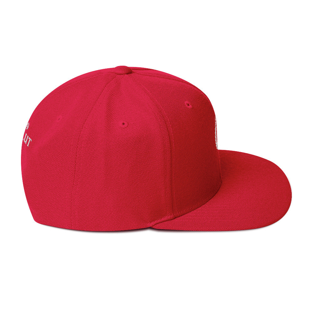 2119 Salut Snapback Hat